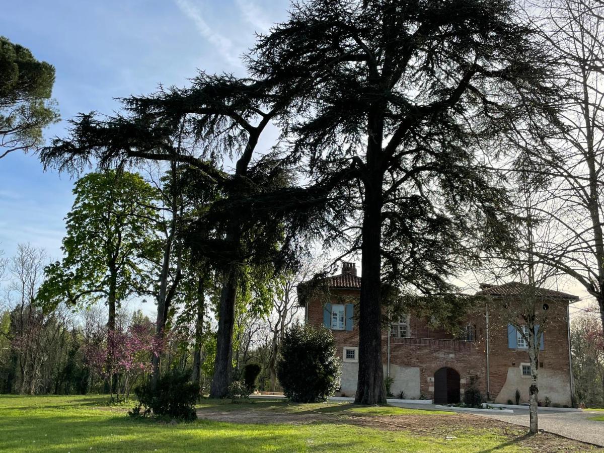 Chateau Du Go Albi Exterior photo